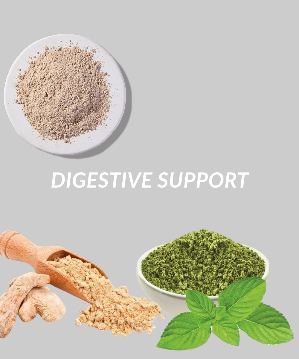Digestive Support