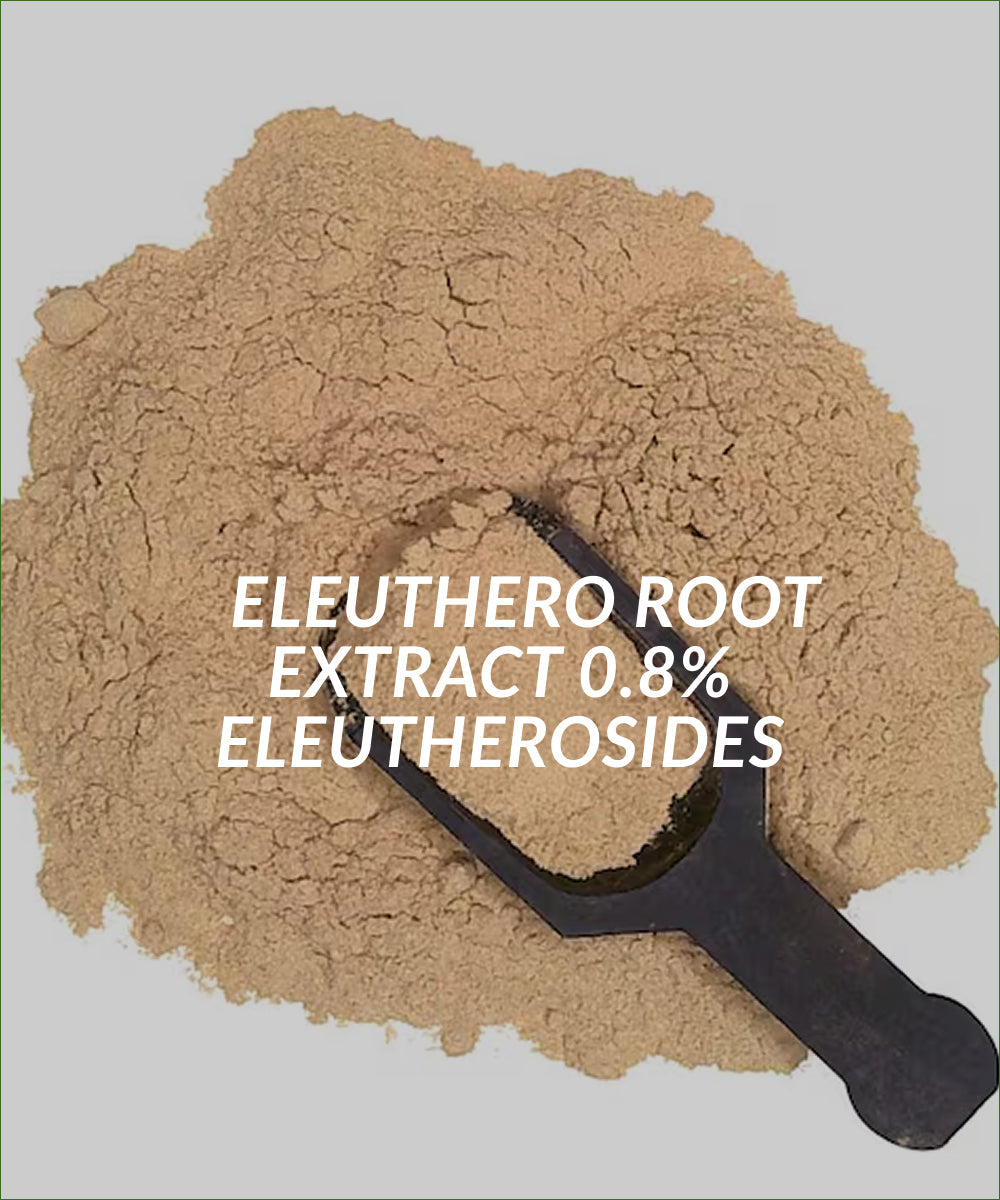 Eleuthero Root Extract 0.8% Eleutherosides