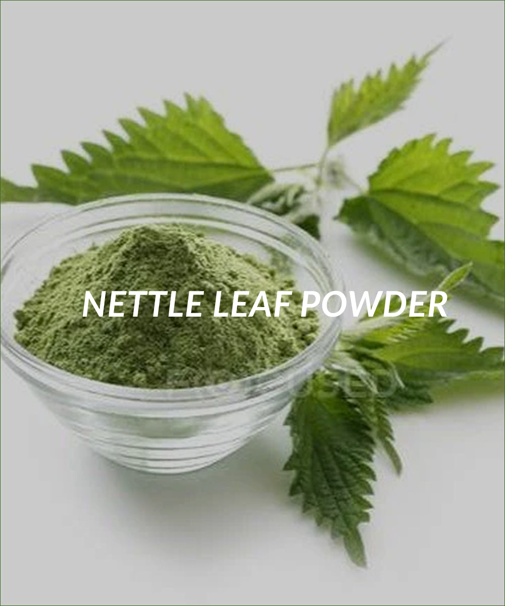 NETTLE LEAF POWDER