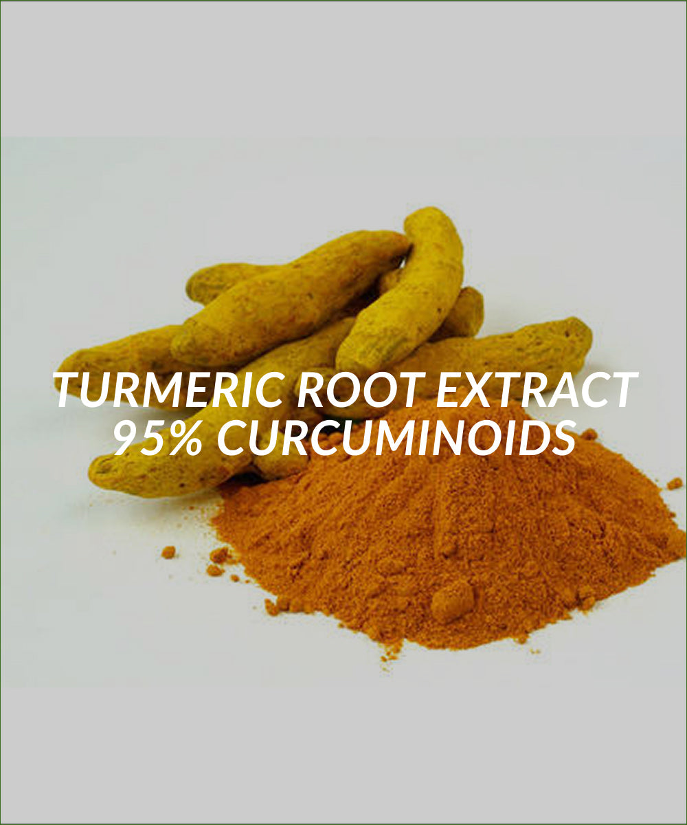 Turmeric Root Extract 95% Curcuminoids