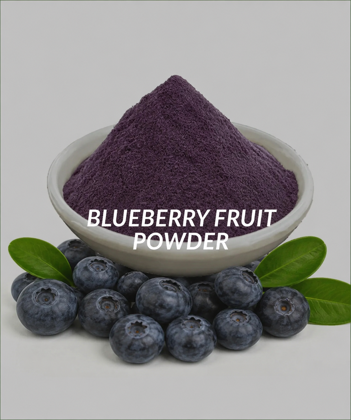 BLUEBERRY FRUIT POWDER