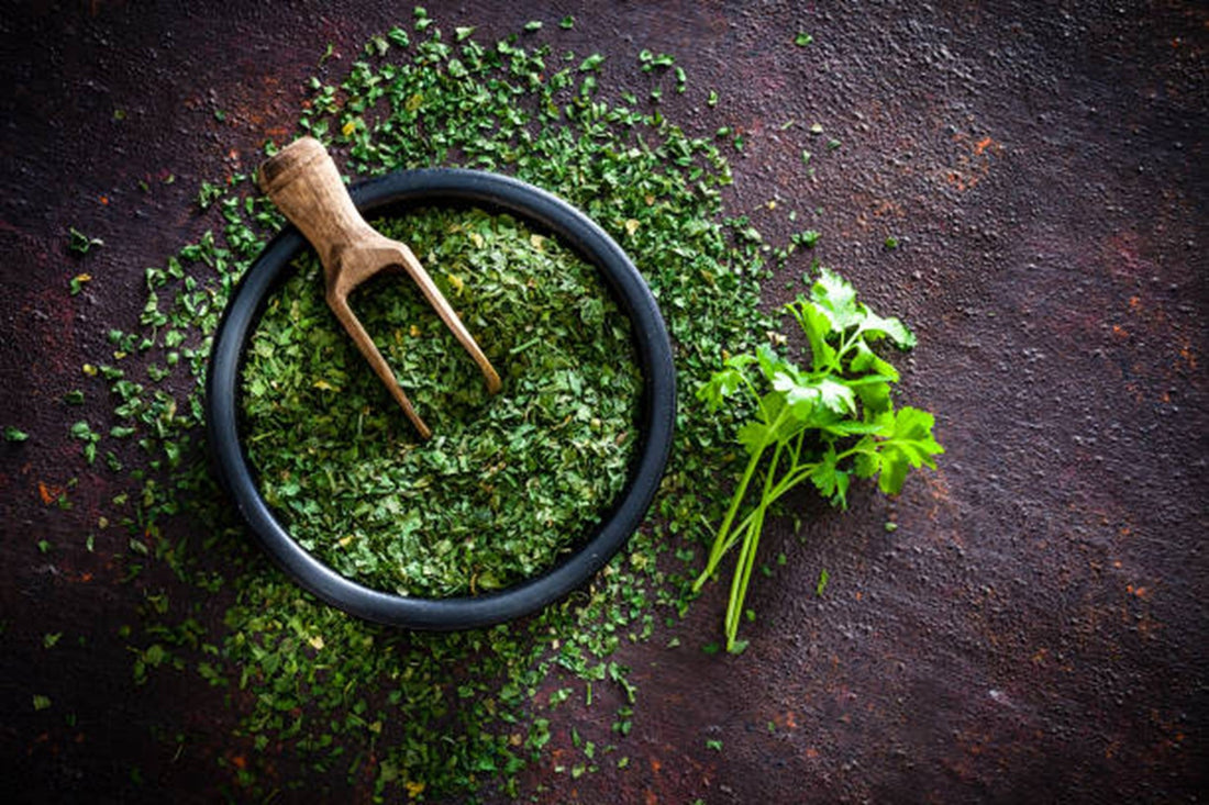 7 Tips to Store Parsley Leaf Powder in New Jersey to Get Maximum Potency