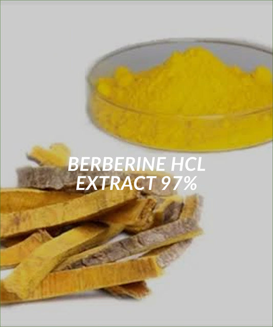 Berberine HCL Extract 97%