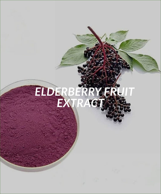 ELDERBERRY FRUIT EXTRACT 5:1
