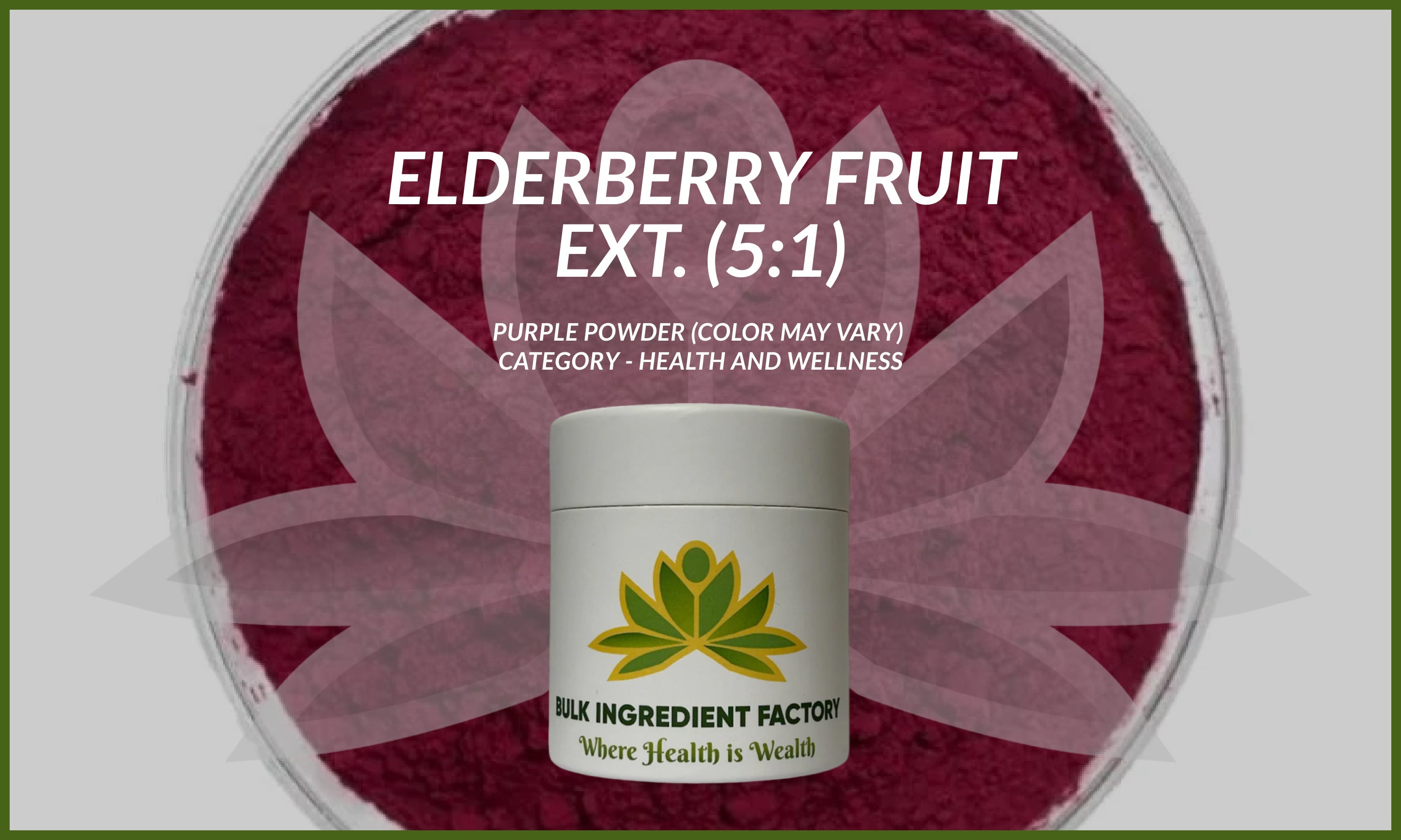 Elderberry Fruit Extract Powder