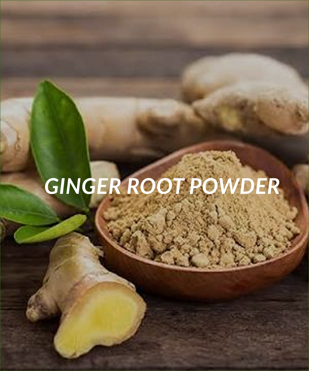 GINGER ROOT POWDER