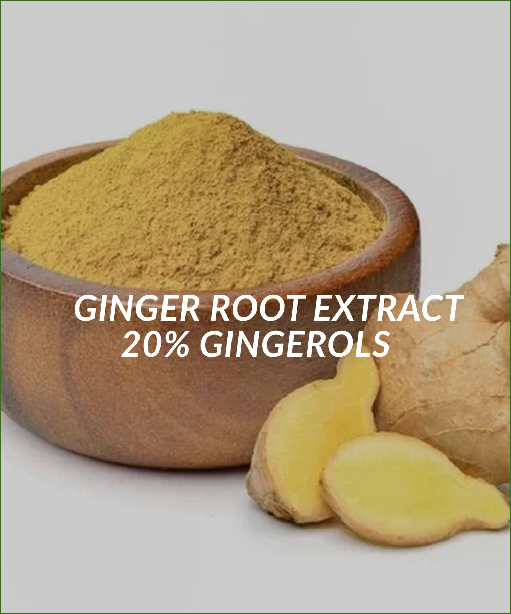 Ginger Root Extract 20% Gingerols
