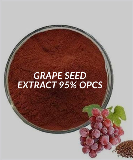Grape Seed Extract 95% OPCs