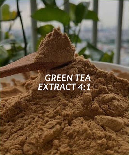 Green Tea Extract 4:1