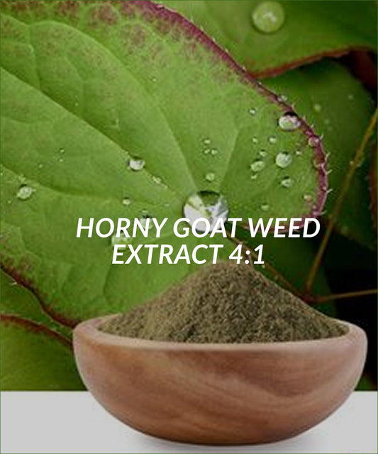 Horny Goat Weed Extract 4:1
