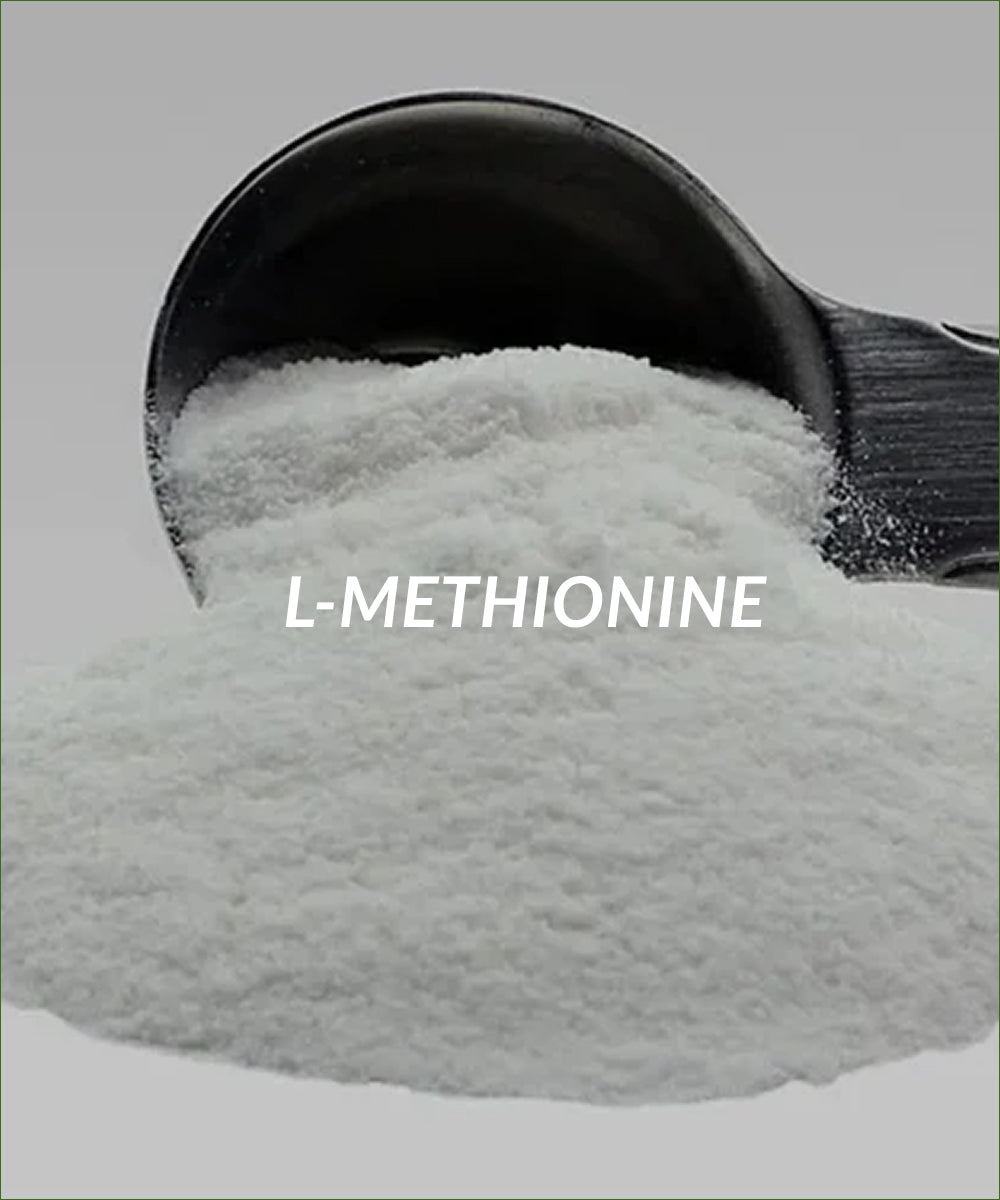 L-METHIONINE