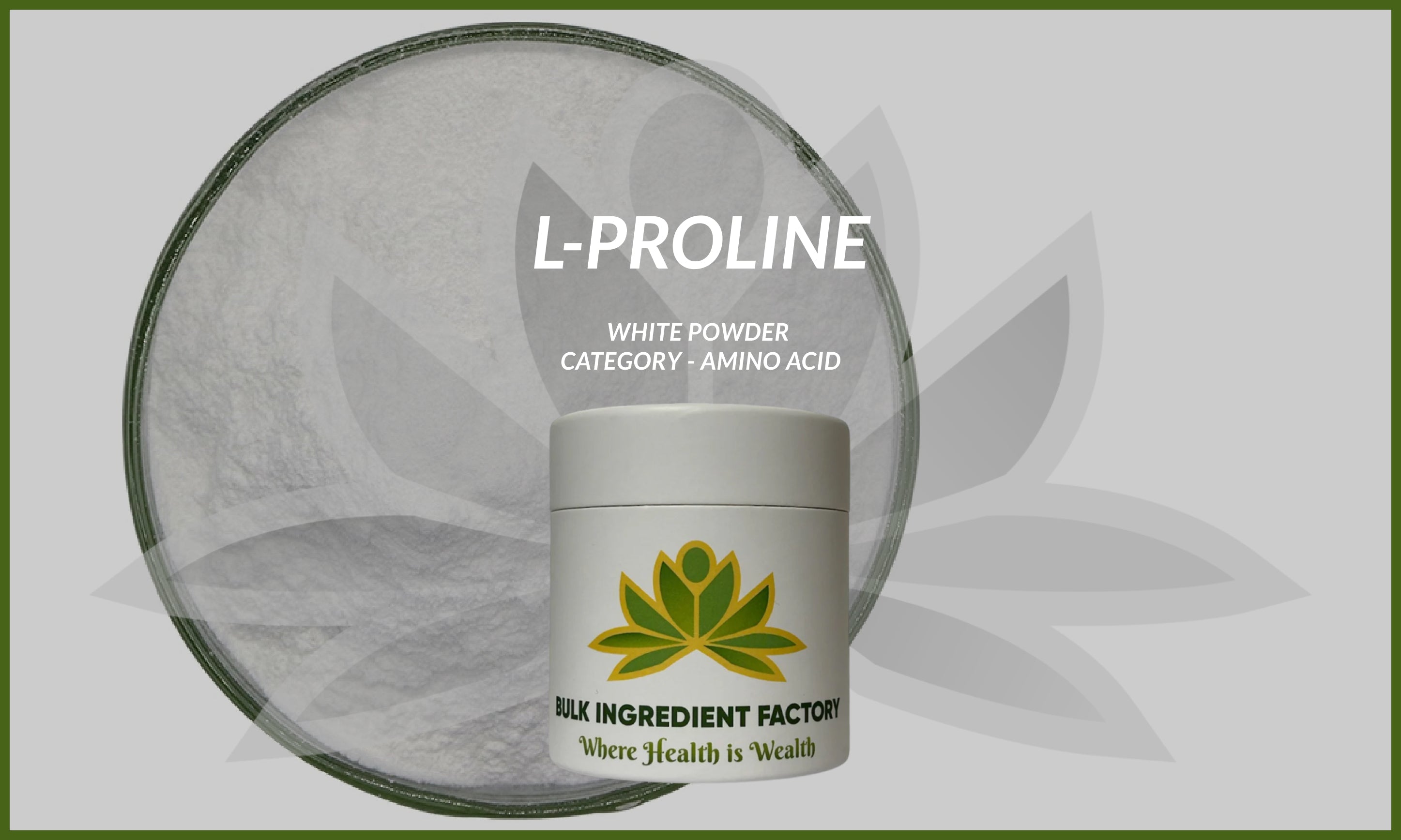 L-Proline​ Powder
