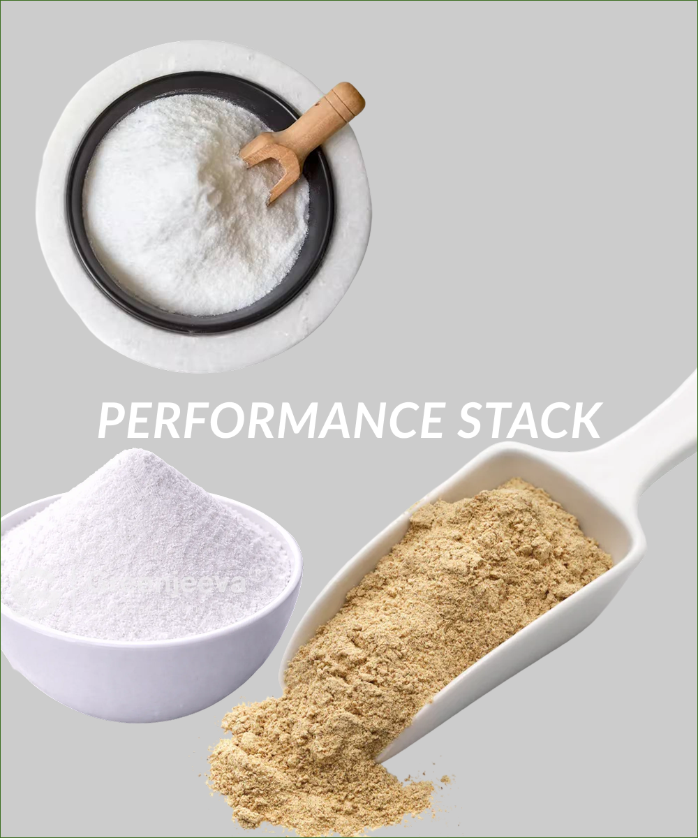 Performance Stack
