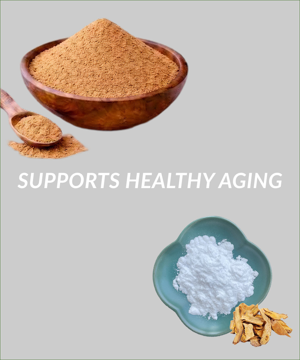 Supports Healthy Aging