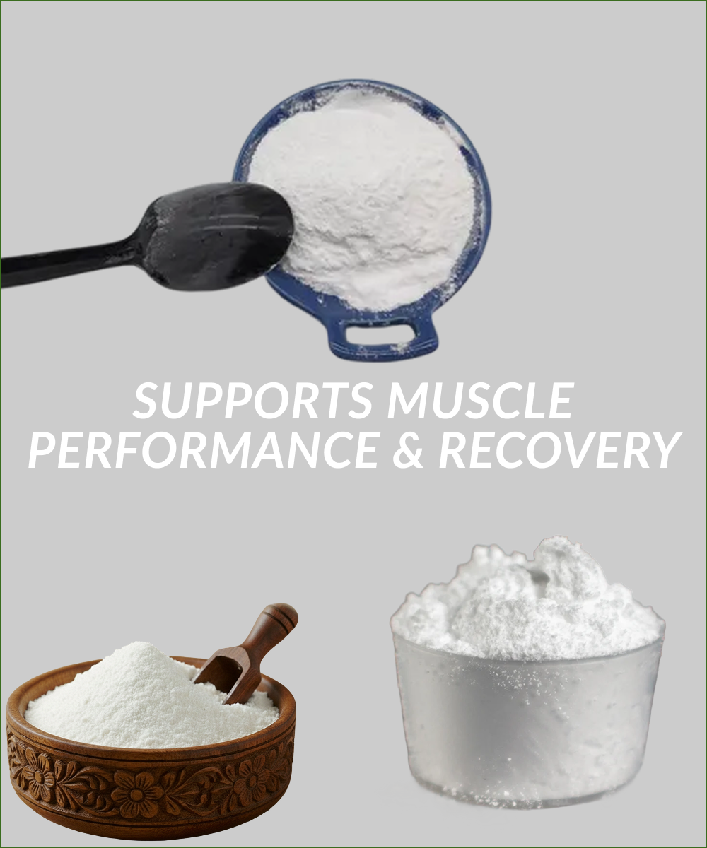 Supports Muscle Performance & Recovery