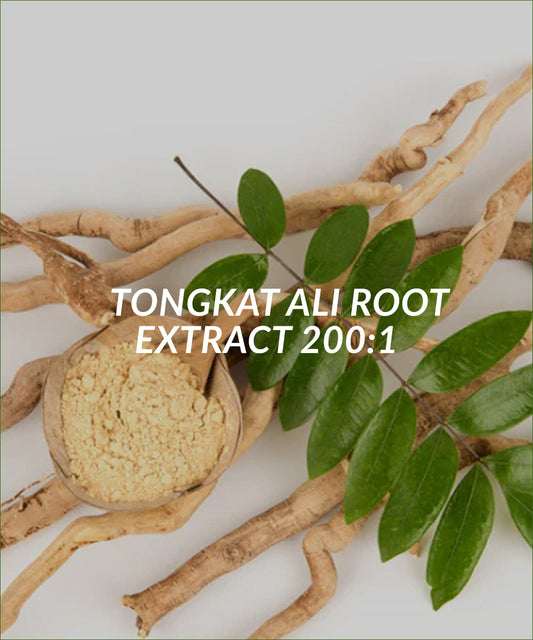 Tongkat Ali Root Extract 200:1
