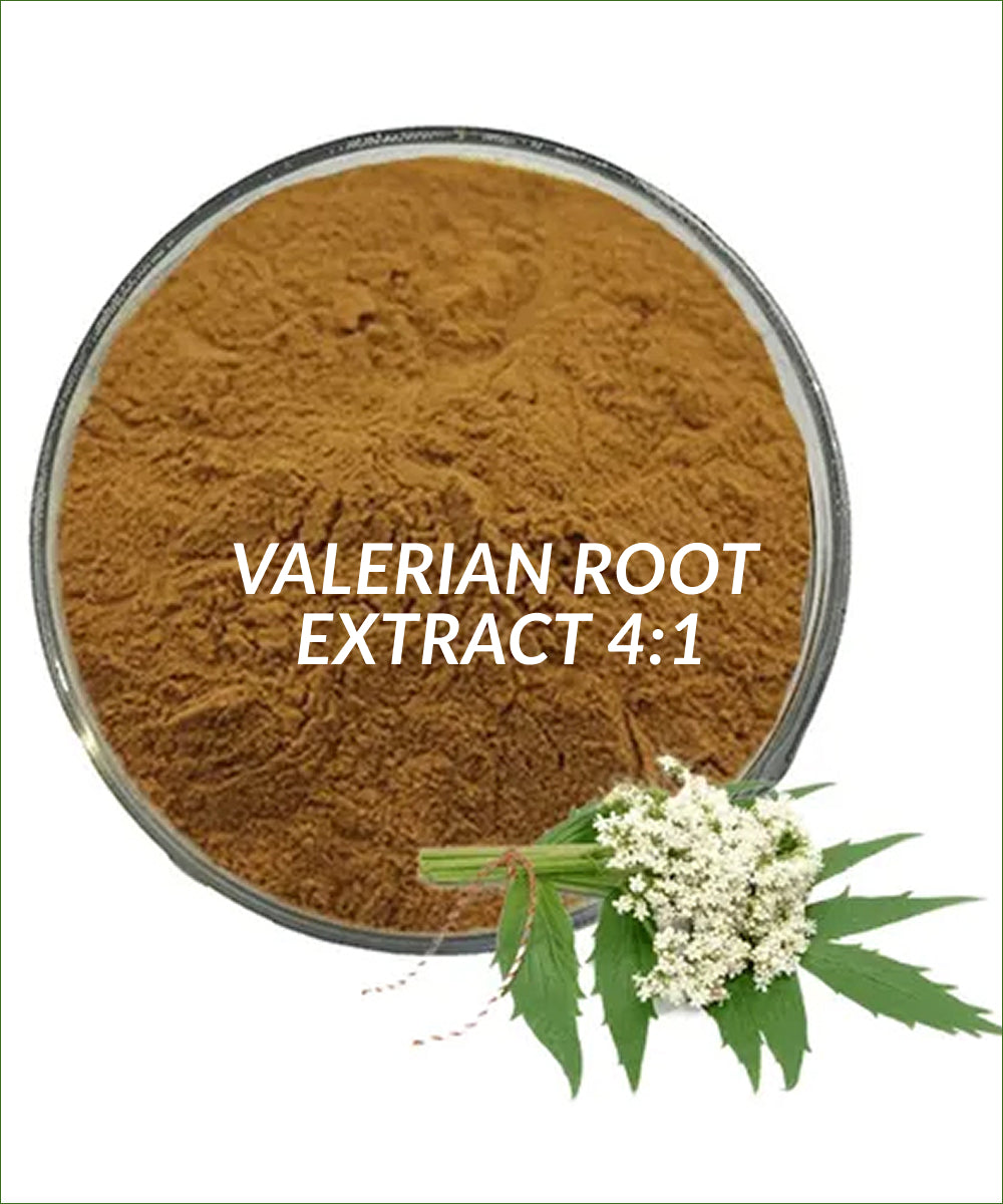 Valerian Root Extract 4:1